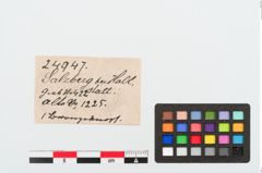 Etiketten zu Bronzetutulusknopf (NHMW-PRAE-024947)
